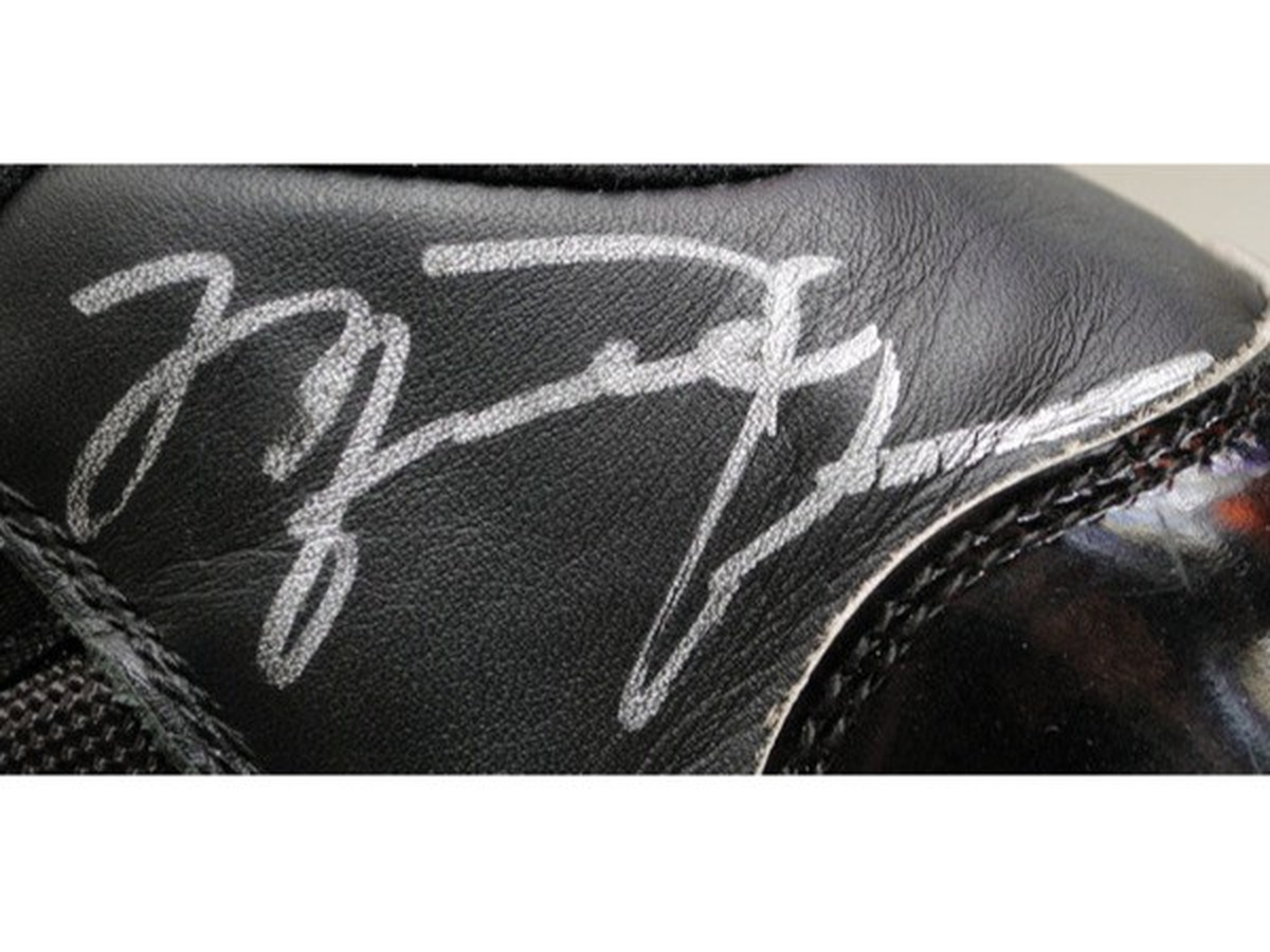 Air Jordan XI · Single View 3 candidate