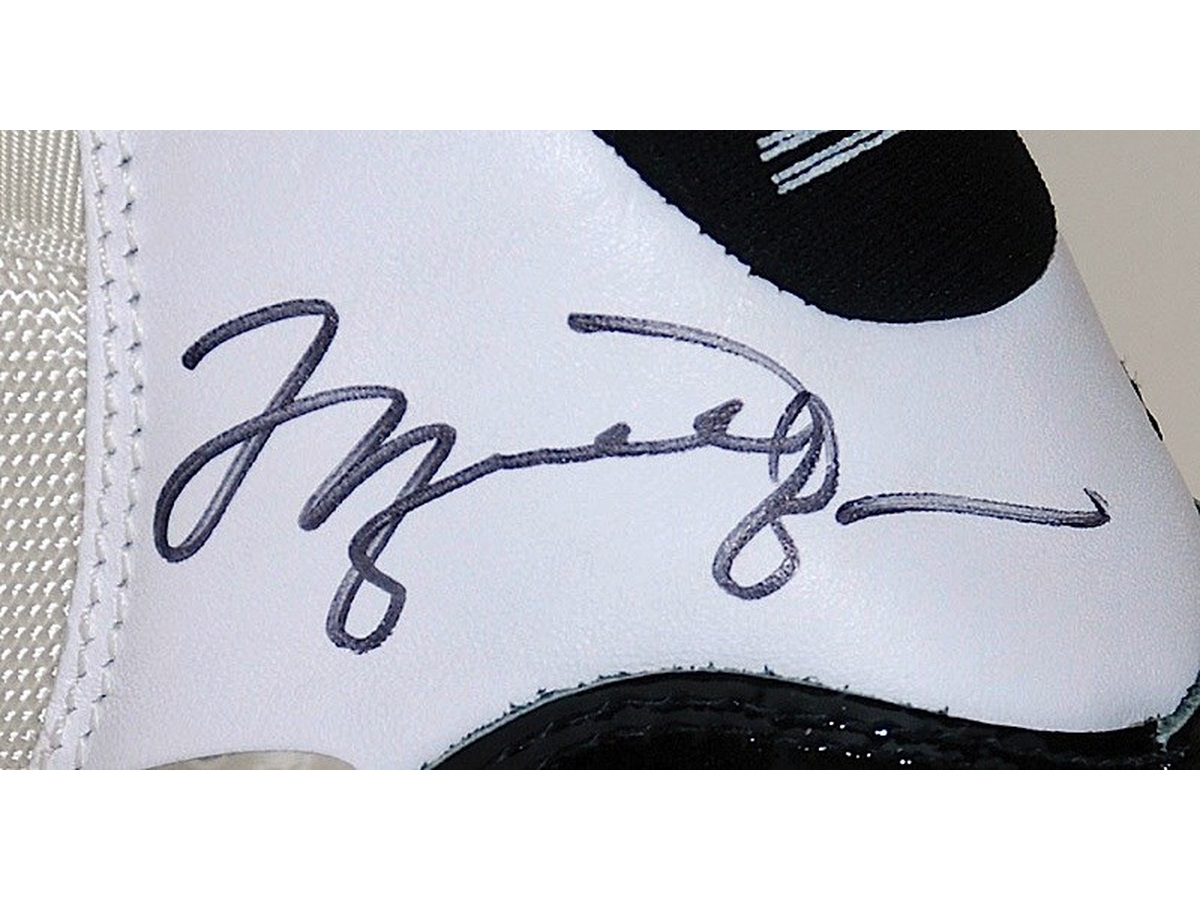 Air Jordan XI · Single View 3 candidate