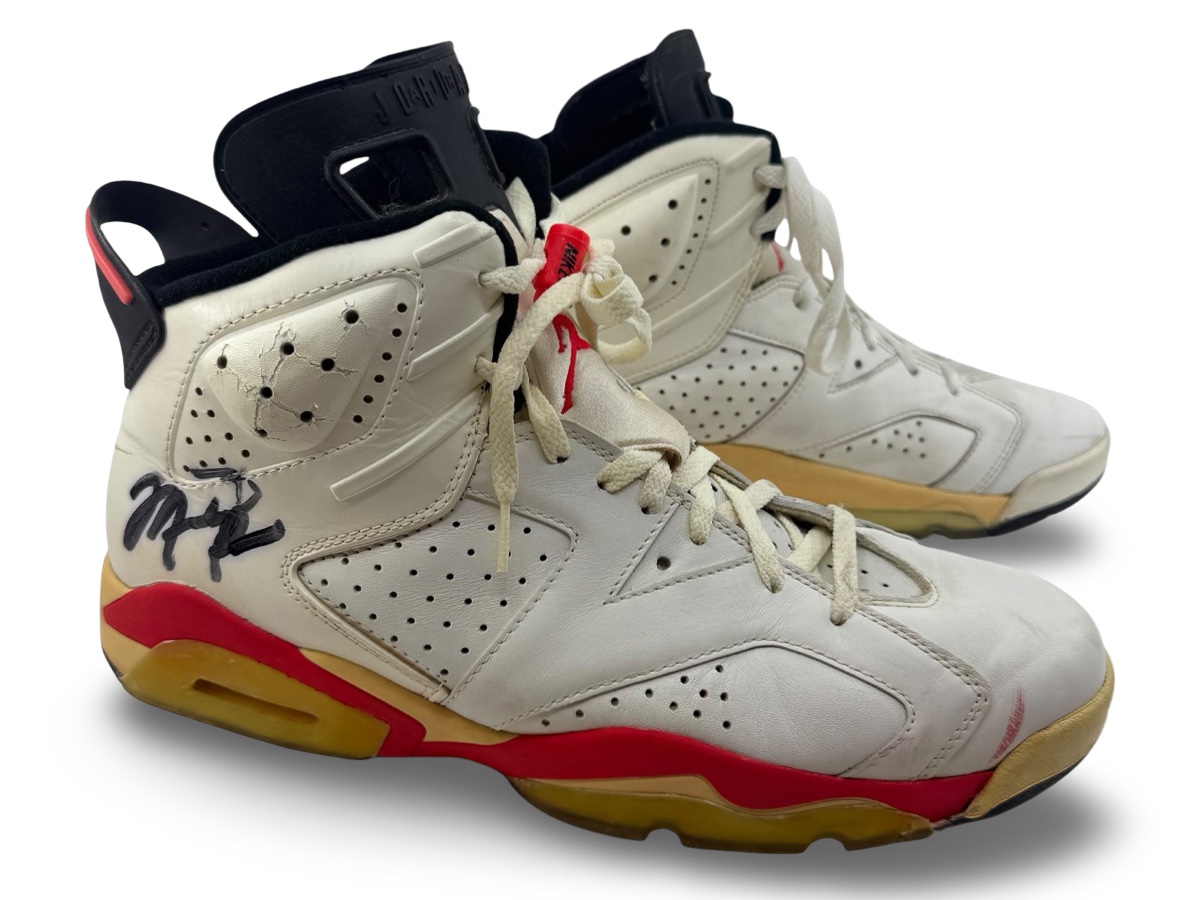 Air Jordan 6 — 1991