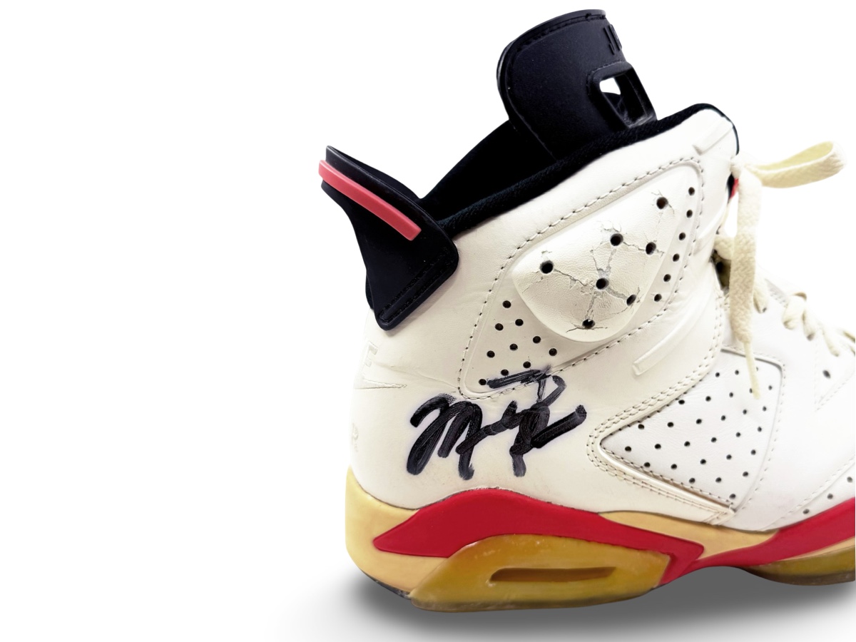 Air Jordan 6 — 1991