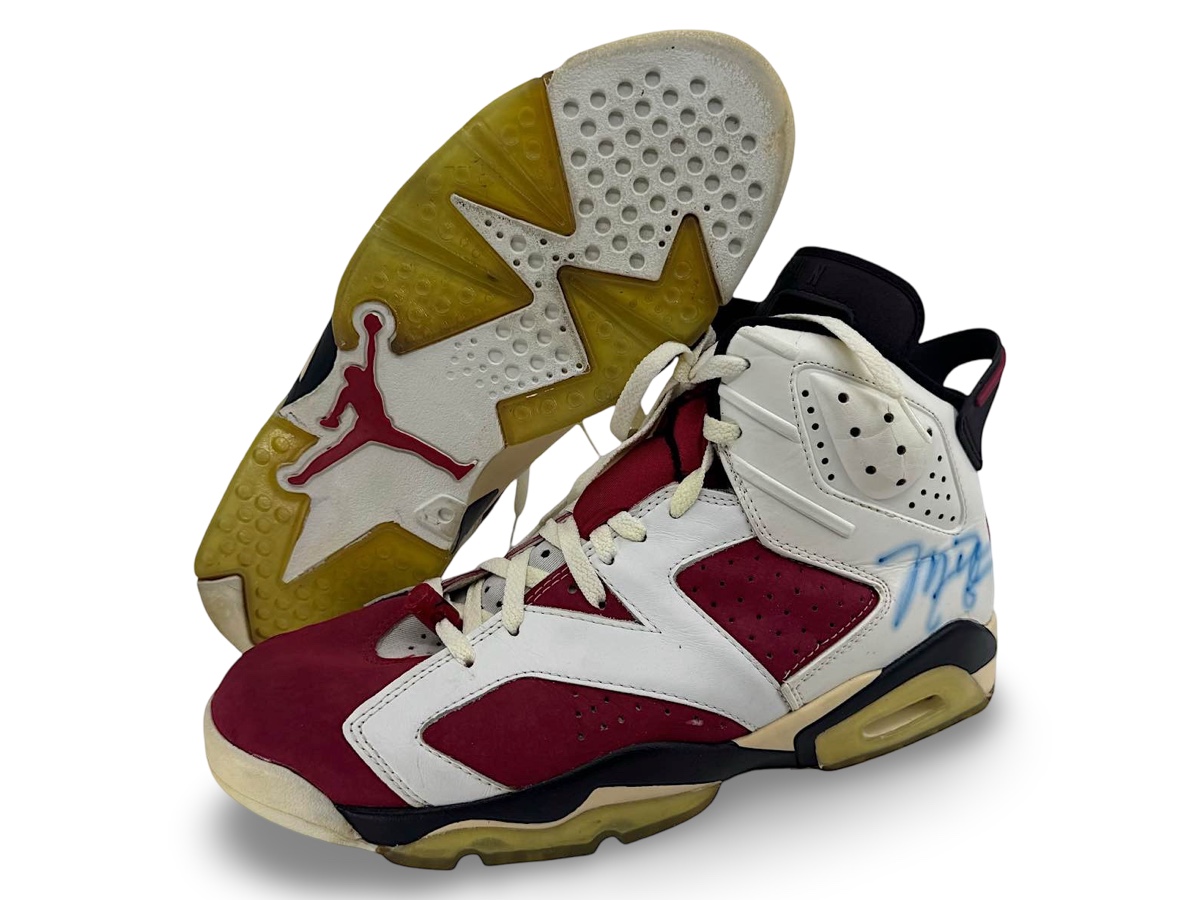 Air Jordan 6 — 1991