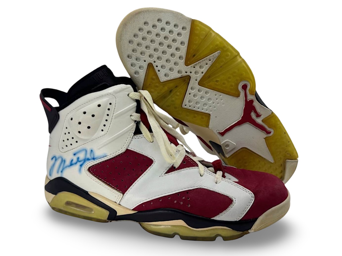 Air Jordan 6 — 1991
