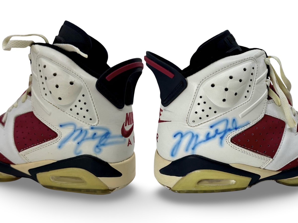 Air Jordan 6 — 1991