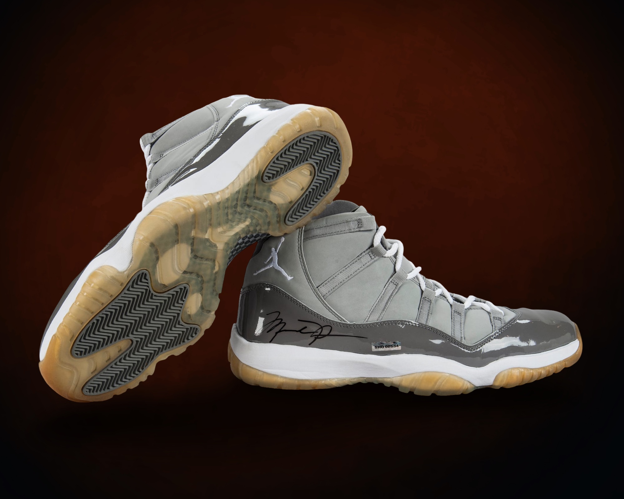 Air Jordan Wizards